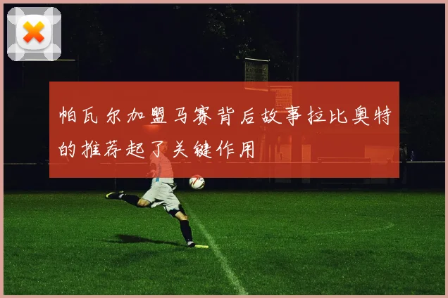 帕瓦尔加盟马赛背后故事拉比奥特的推荐起了关键作用