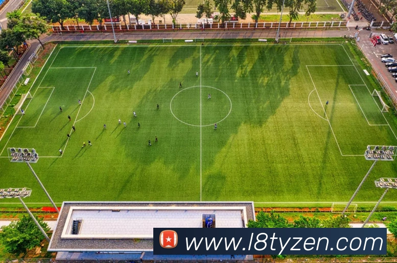 龙八体育平台生态图